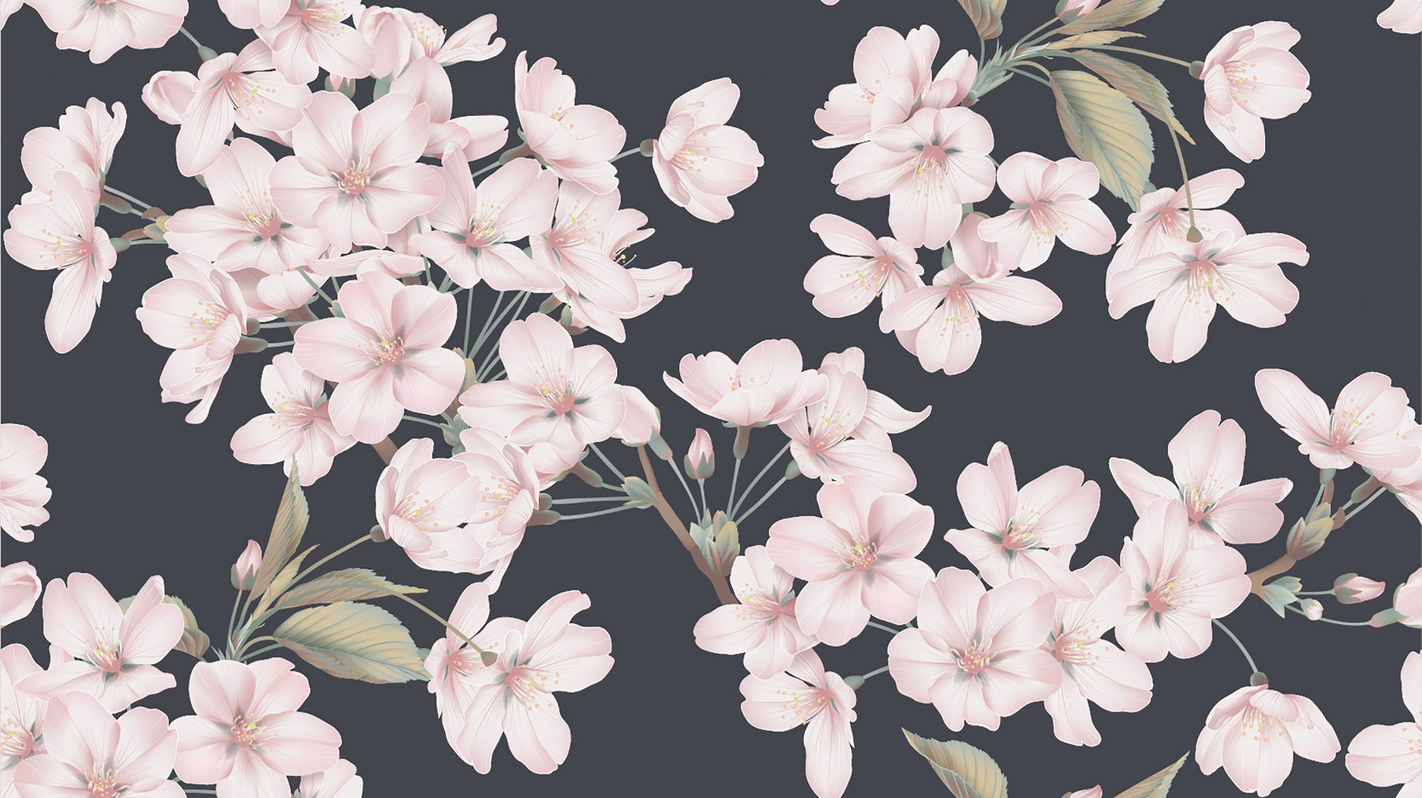80+ Beautiful Flower Wallpaper For iPhone | IdeasToKnow