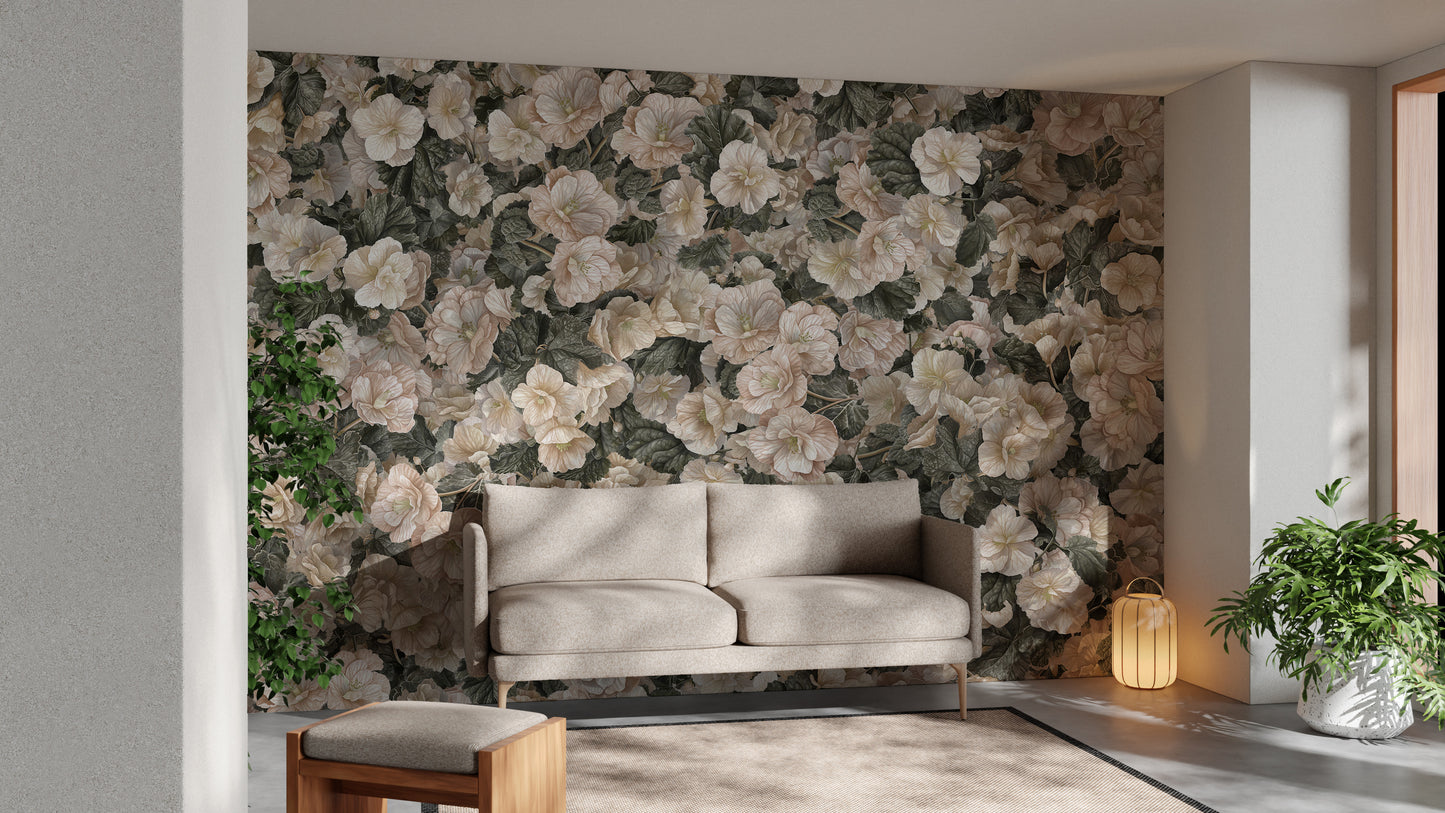 White Begonia Flower Wallpaper Murals