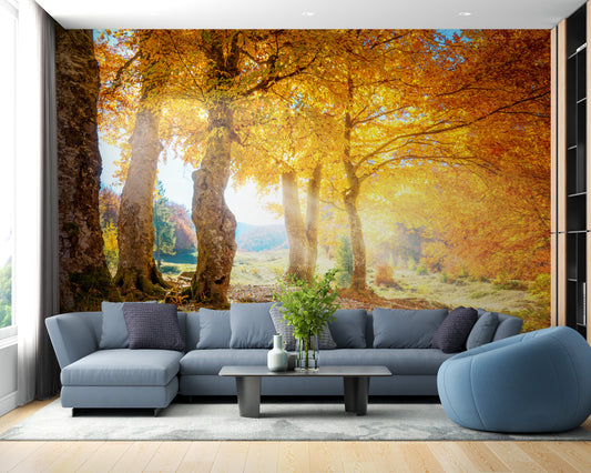 Yellow Autumn Leaves Forest Wallpaper Mural