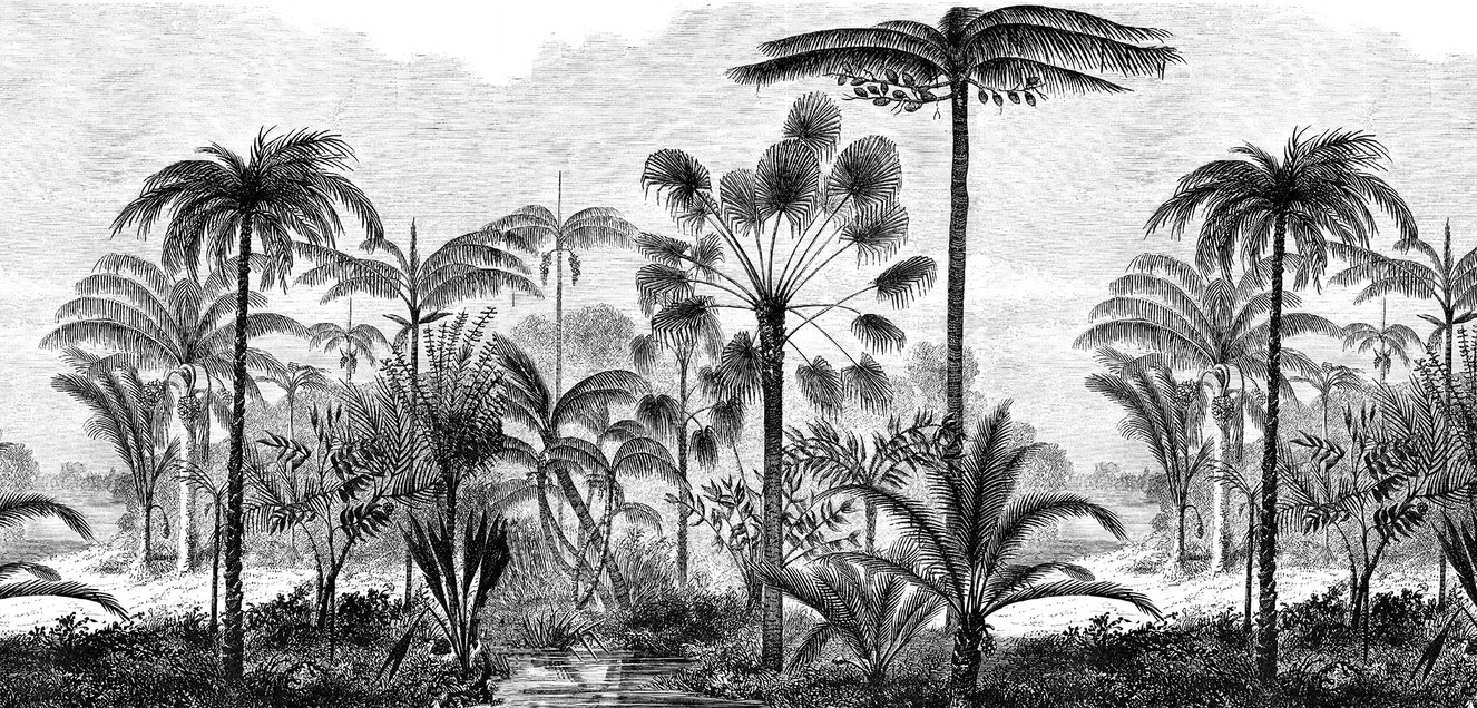 Vintage Black and White Drawn Palm Tree Wallpaper Murals