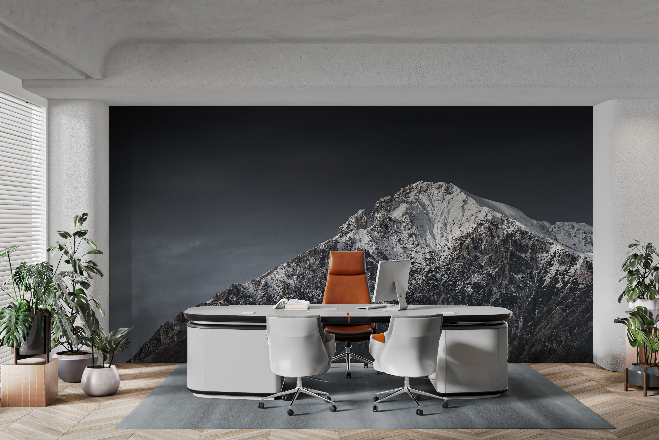 Winter mountain peak mural for adventurous spaces
