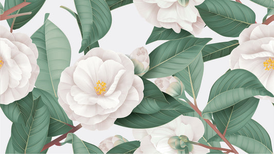 White Camellia Flowers Wallpaper Mural