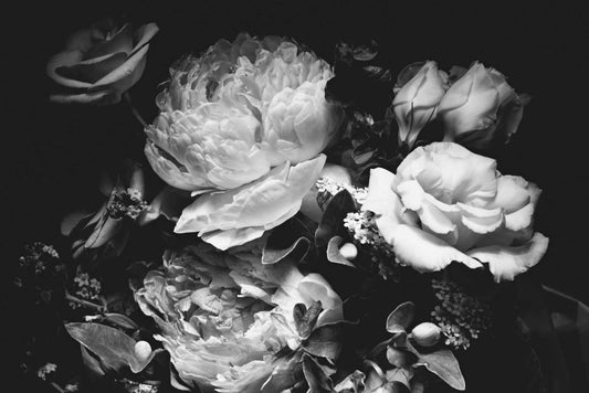 Black and White Rose Spectacle Wall Mural