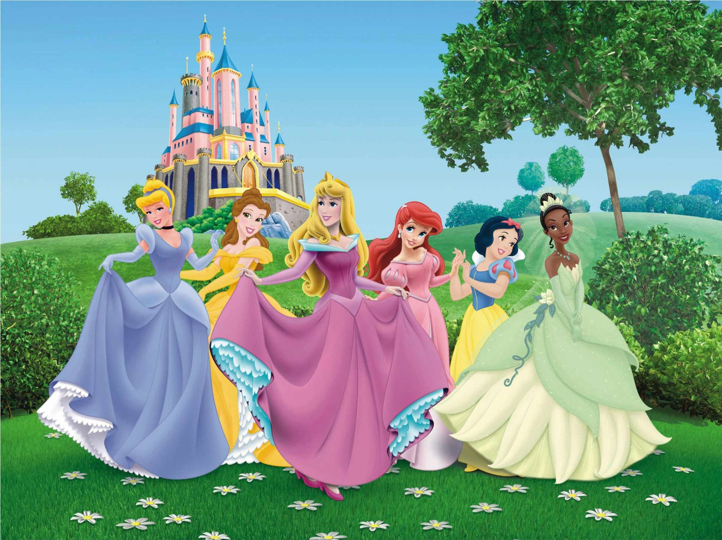 Disney Princesses Kids Room Wall Mural - Giffywalls