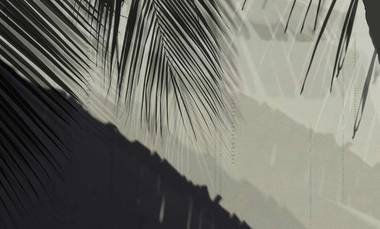 Palm Leaf Shadow Wallpaper Mural