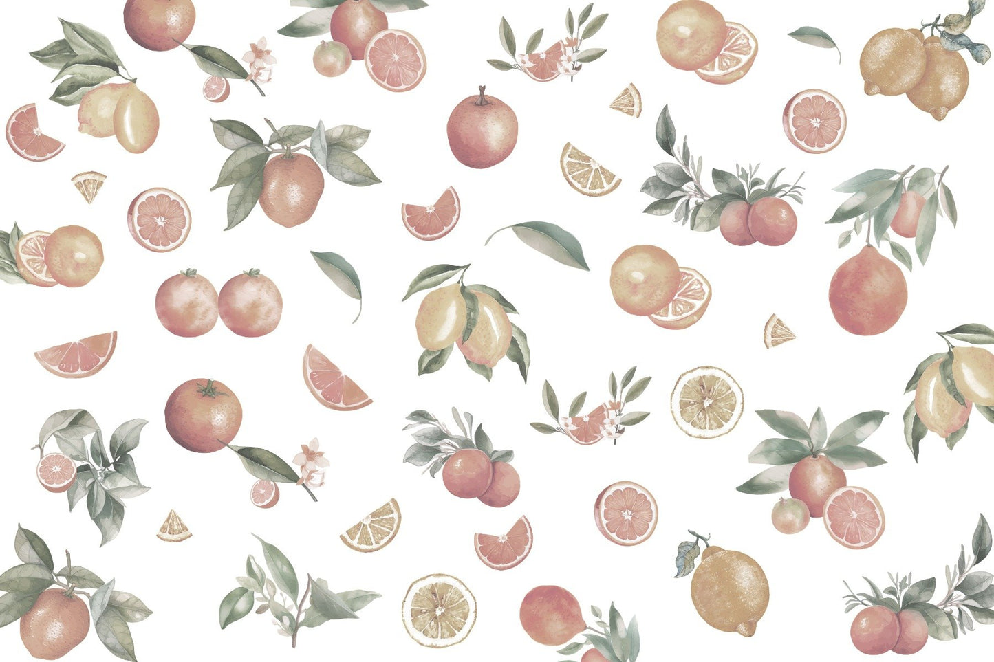 Citrus Orchard Delight Wallpaper Mural