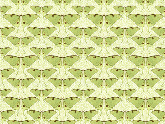 Luna Moth and Leaves Wallpaper for Walls